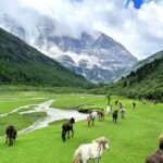 Ornare arcu odio utsem nullapharetra diam