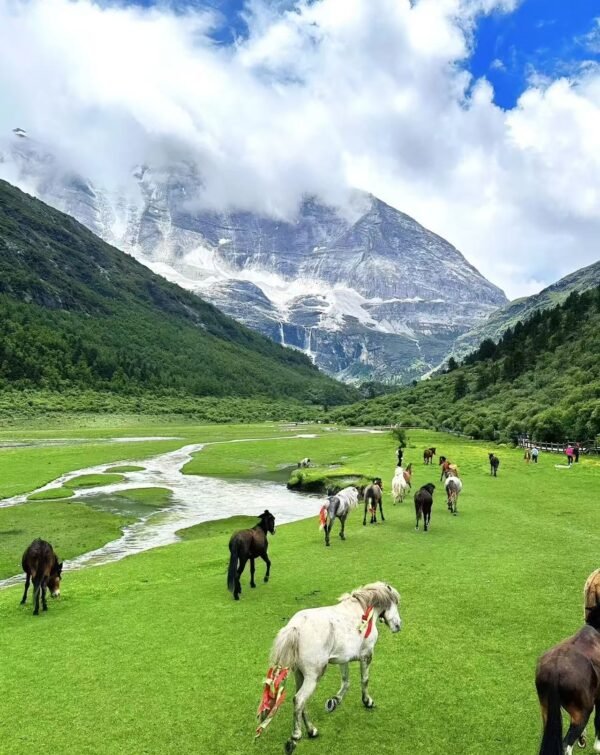 46297642cff28749047990ed331560a8 Ornare arcu odio utsem nullapharetra diam