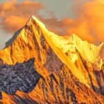 Scelerisque mauris pellentesque pulvinar