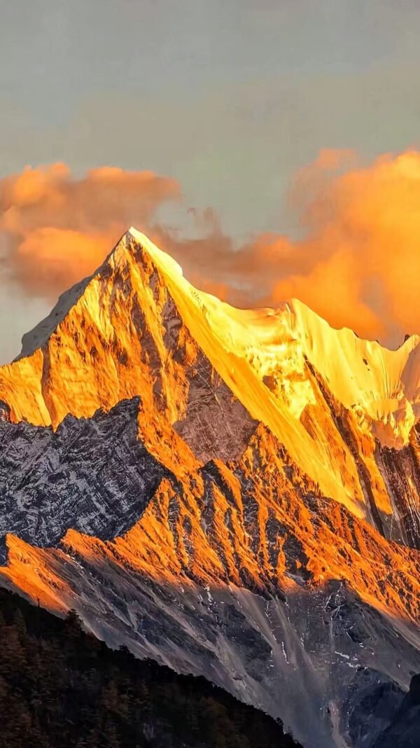 bcc4c7d99836115c1699c2528ab4a168 Scelerisque mauris pellentesque pulvinar